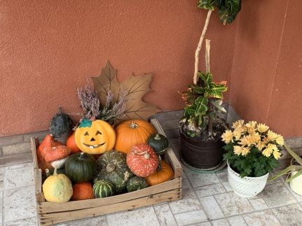 Csendes Zug Wellness Vendégház52