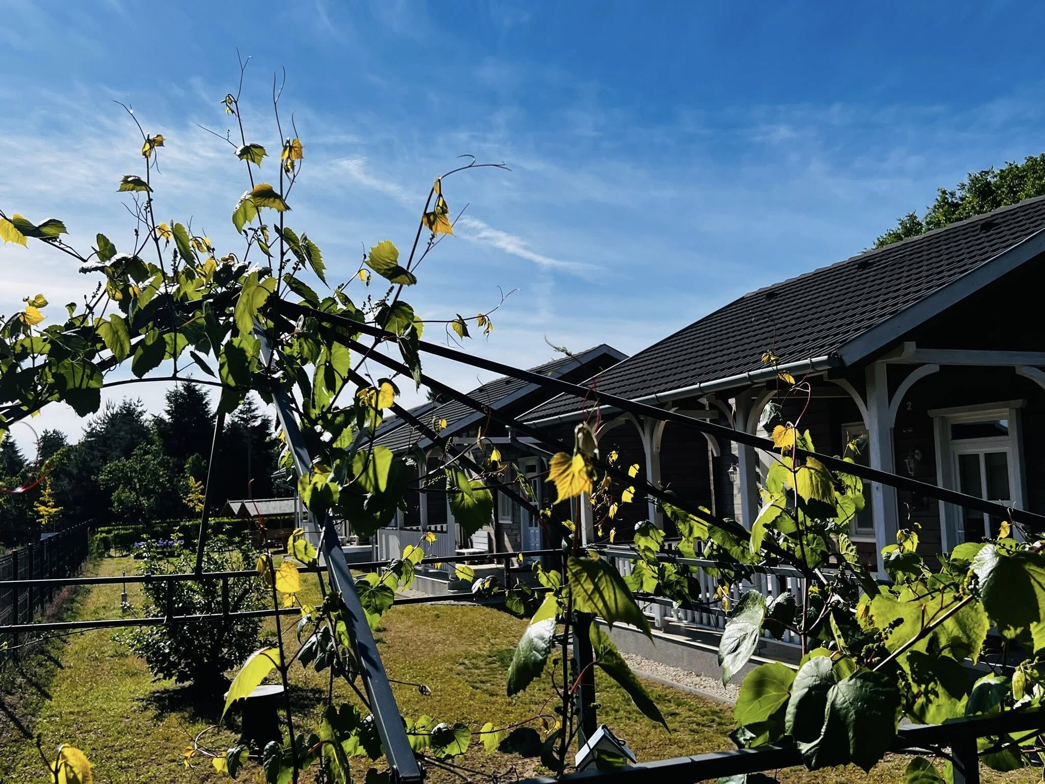 Thermal Village – Cegléd fotó 84