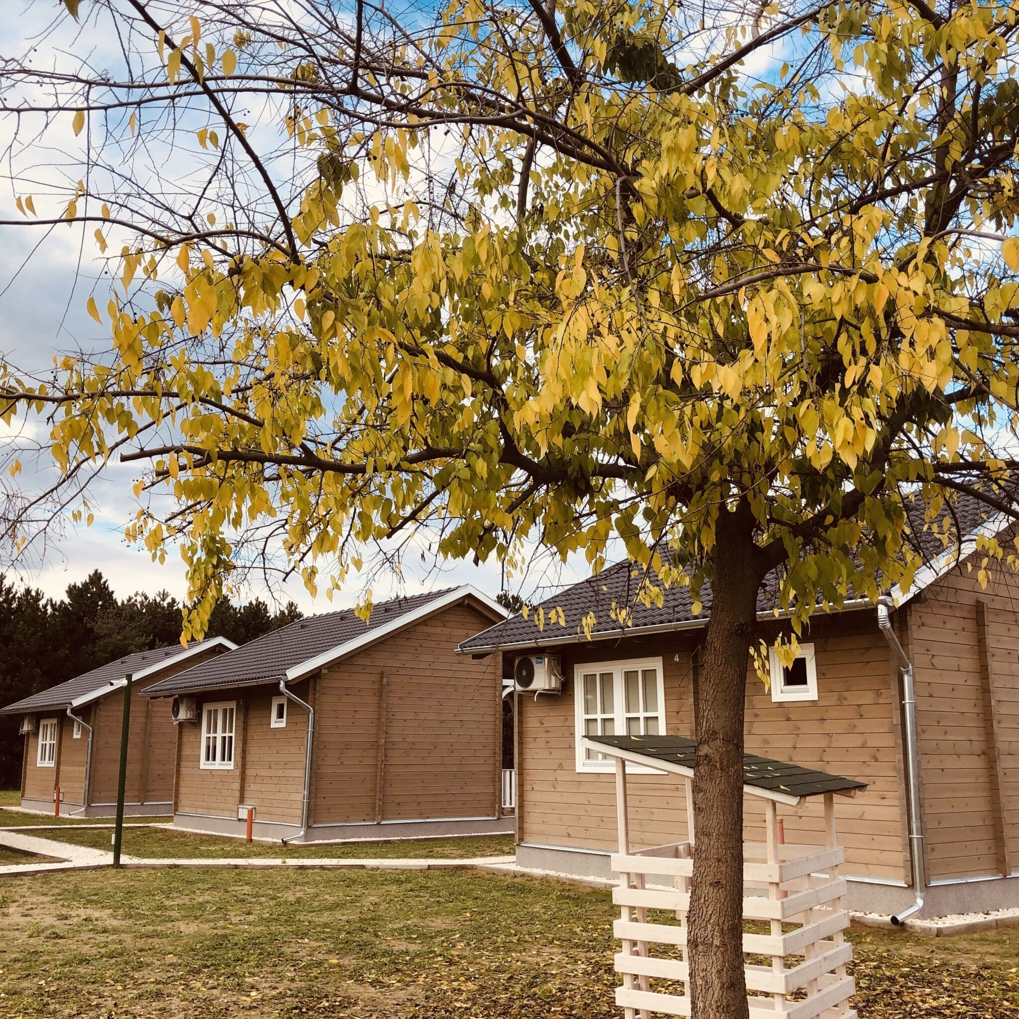 Thermal Village – Cegléd fotó 4