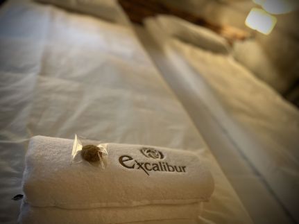 Excalibur miniHotel8