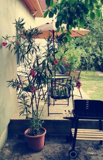 Bali-Chill Apartman – Balatonlelle fotó 9