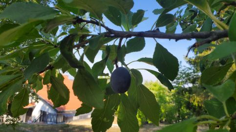 Szilvásváradi Kemencés Apartmanok31