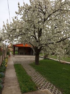 Sakura Vendégház16