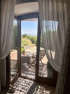 Panorama Vine House22