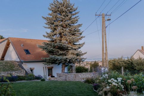 Panorama Vine House29