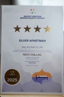 Silver Apartman14