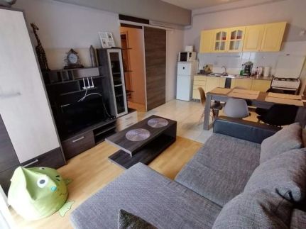 Zöld Béka Kölcsey I. Apartman3