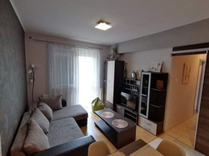 Zöld Béka Kölcsey I. Apartman4