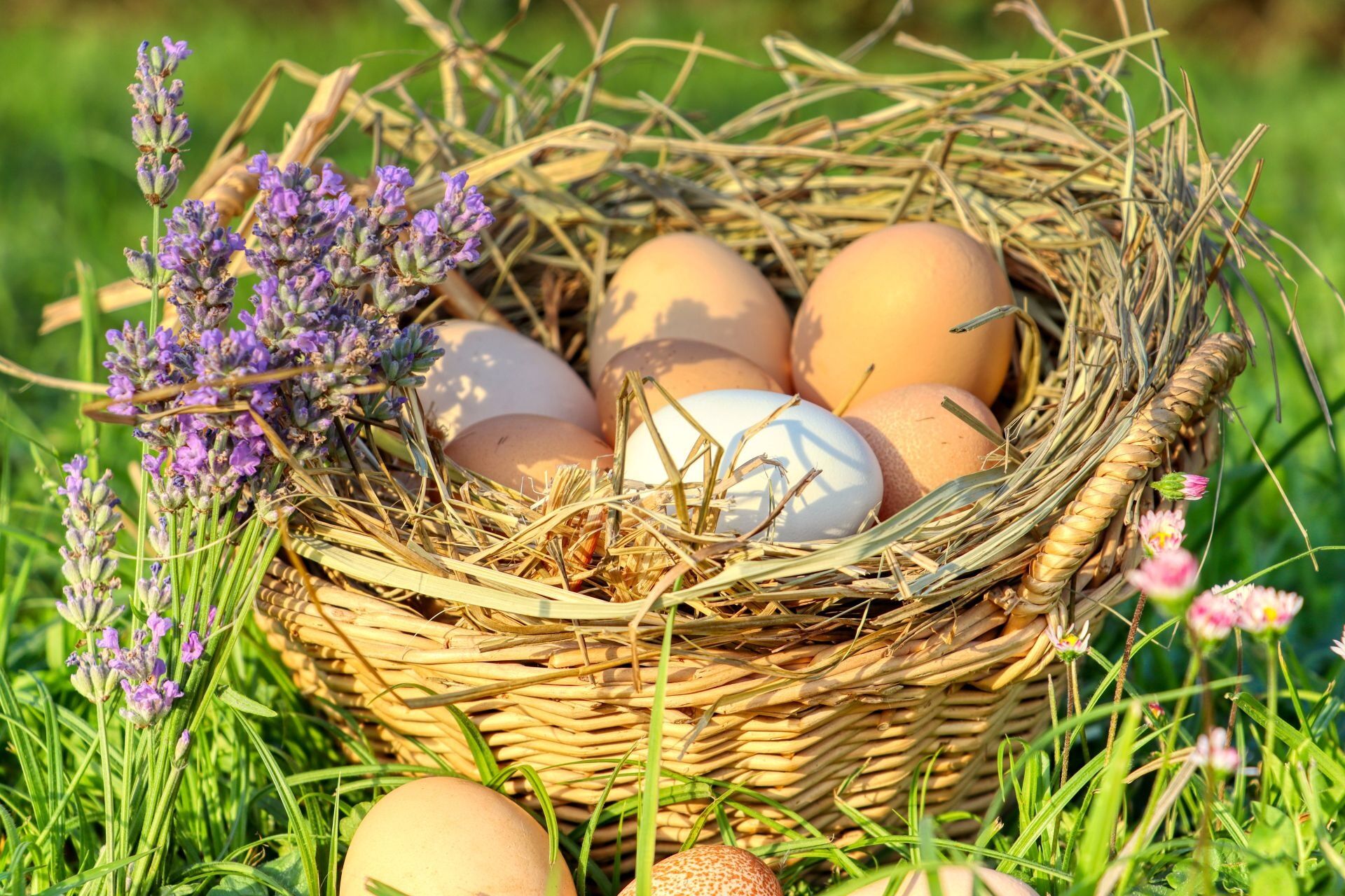 Békés Harcos Udvar Jurtaszállás – Zalaszentgrót fotó 7