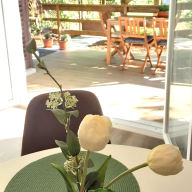 Két Tulipán Vendégház