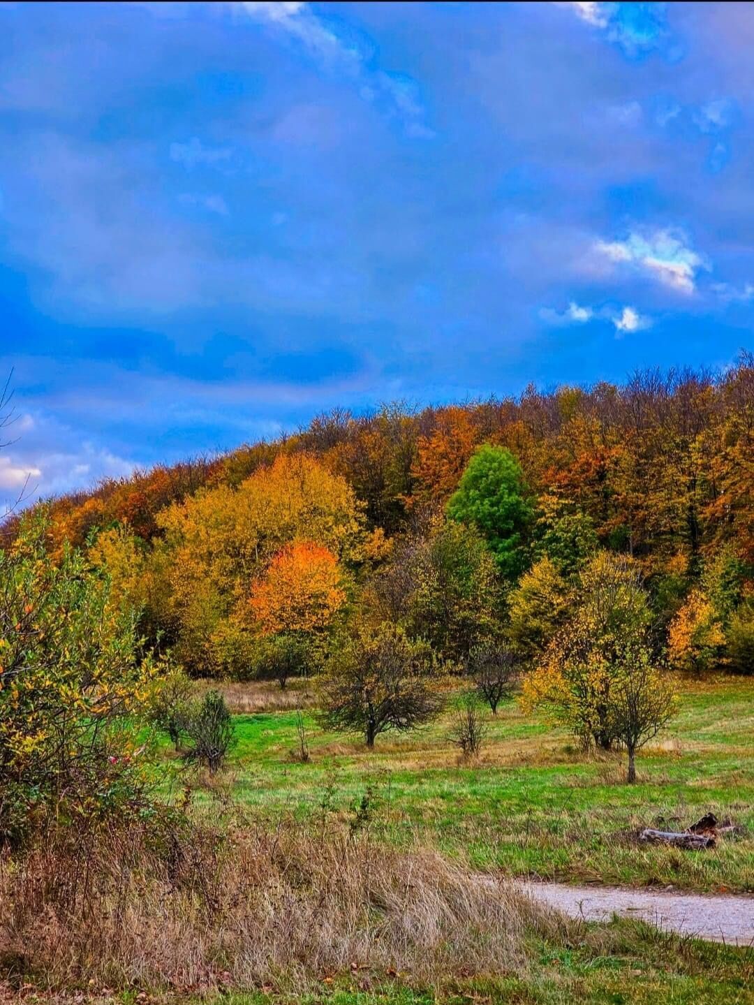 Tóparti Kuckó – Mályi fotó 2