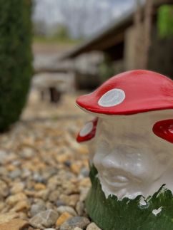 Gém Home Vendégház14
