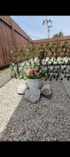 Sweet Summer Apartman22