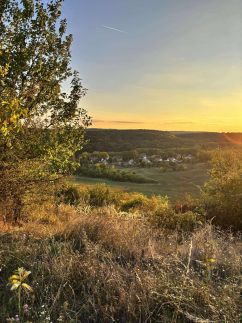 Teleki Bio Apartman és Panzió – Kisszékely fotó 8