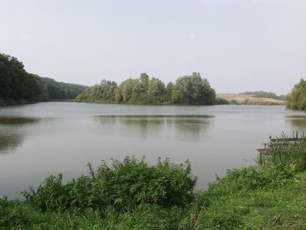 Teleki Bio Apartman és Panzió7