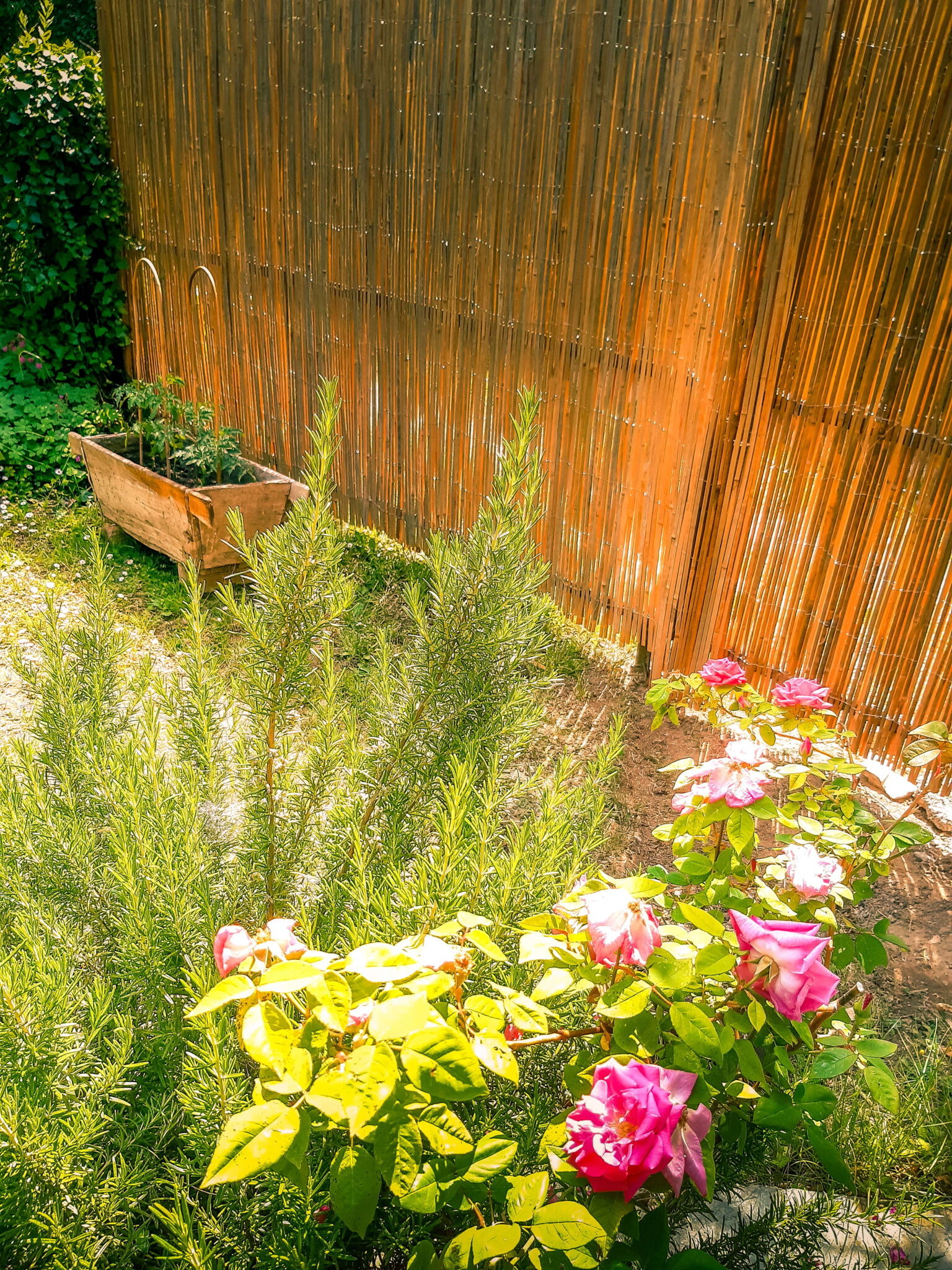 Wild Boar Cottage – Badacsonyörs fotó 13