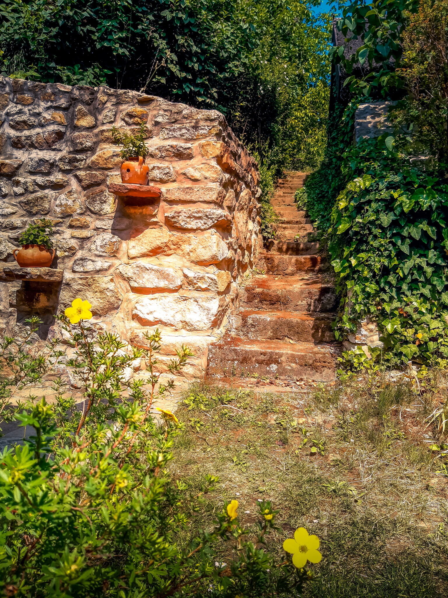 Wild Boar Cottage – Badacsonyörs fotó 14
