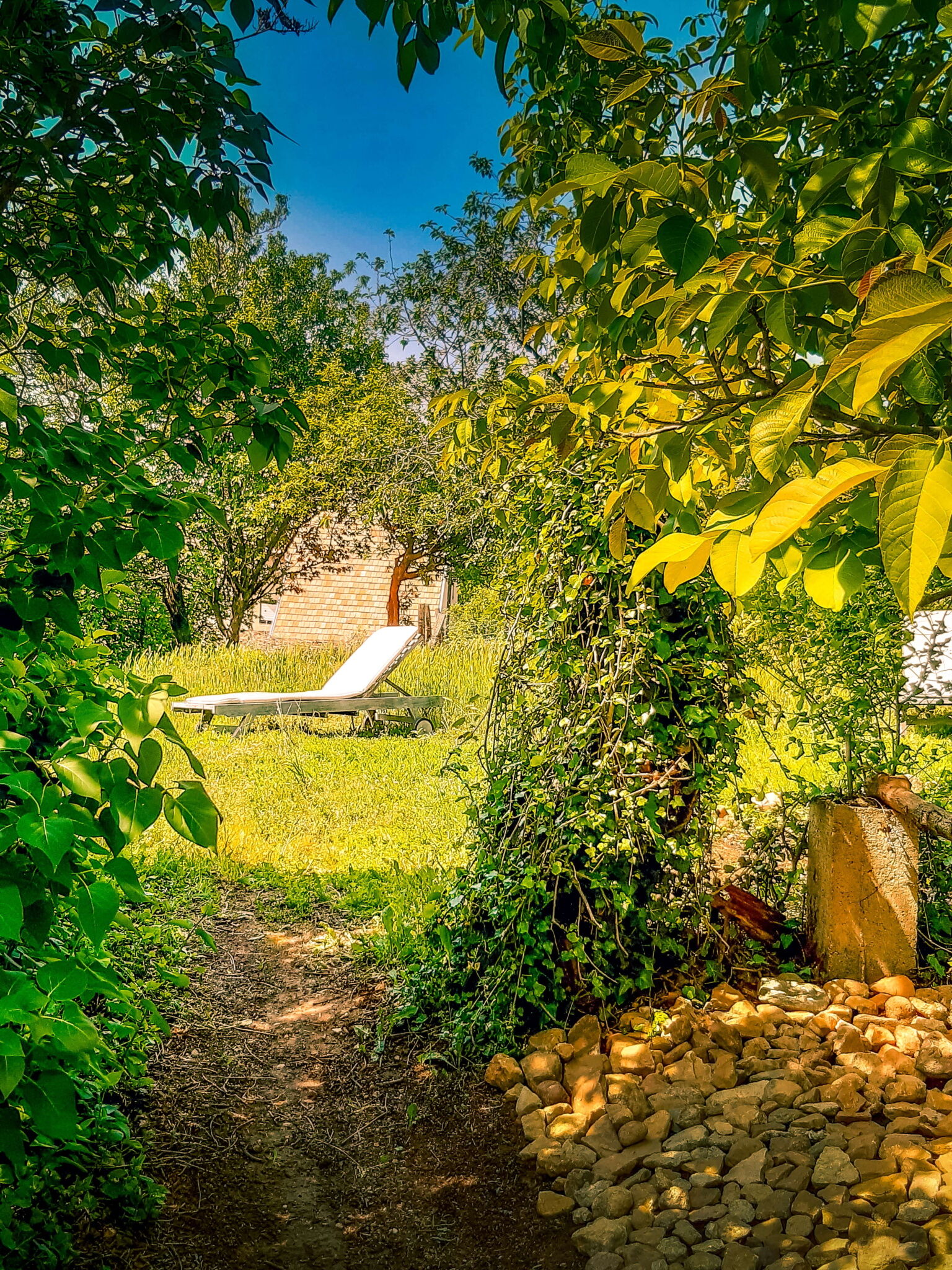 Wild Boar Cottage – Badacsonyörs fotó 16