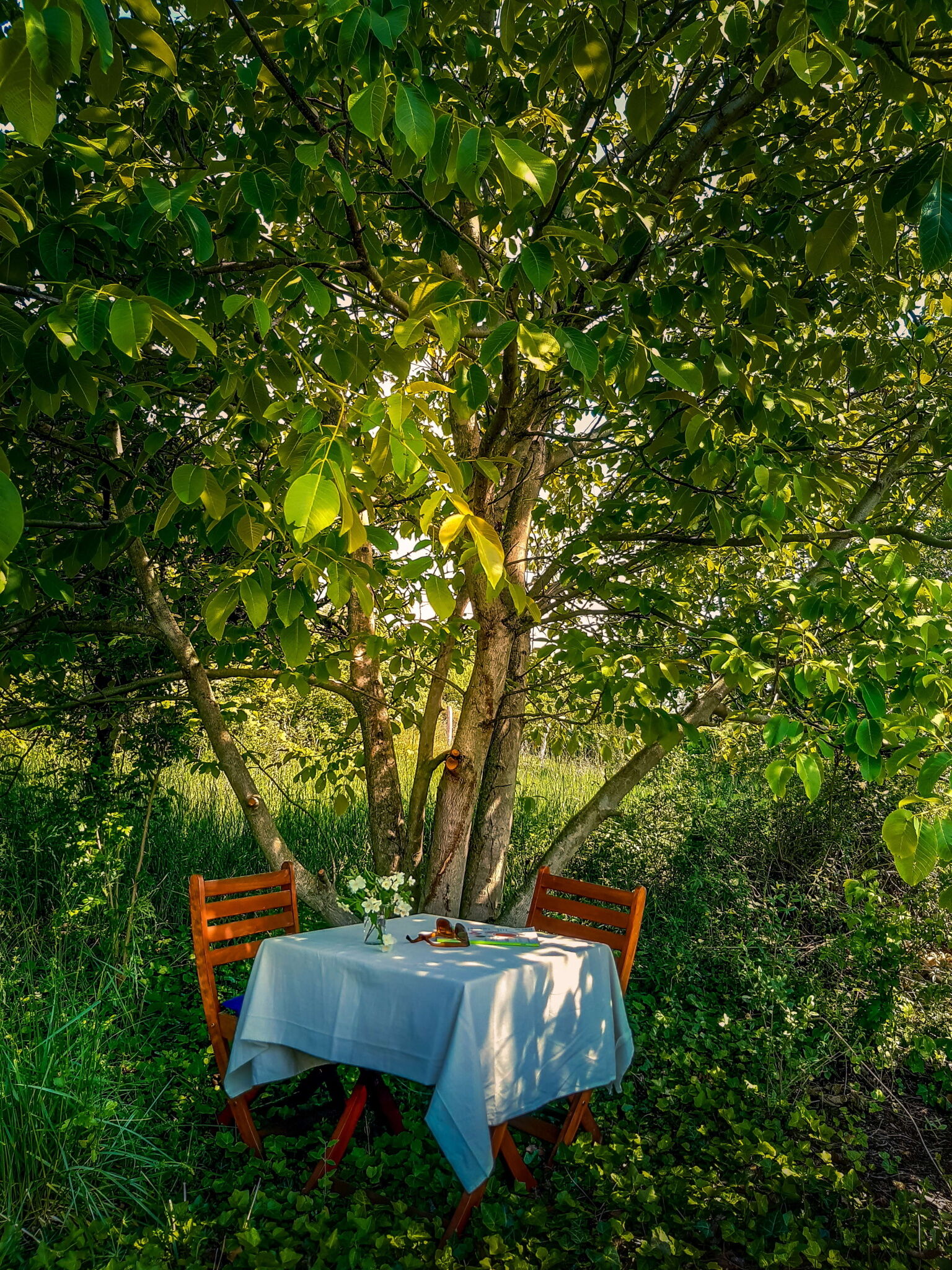 Wild Boar Cottage – Badacsonyörs fotó 17