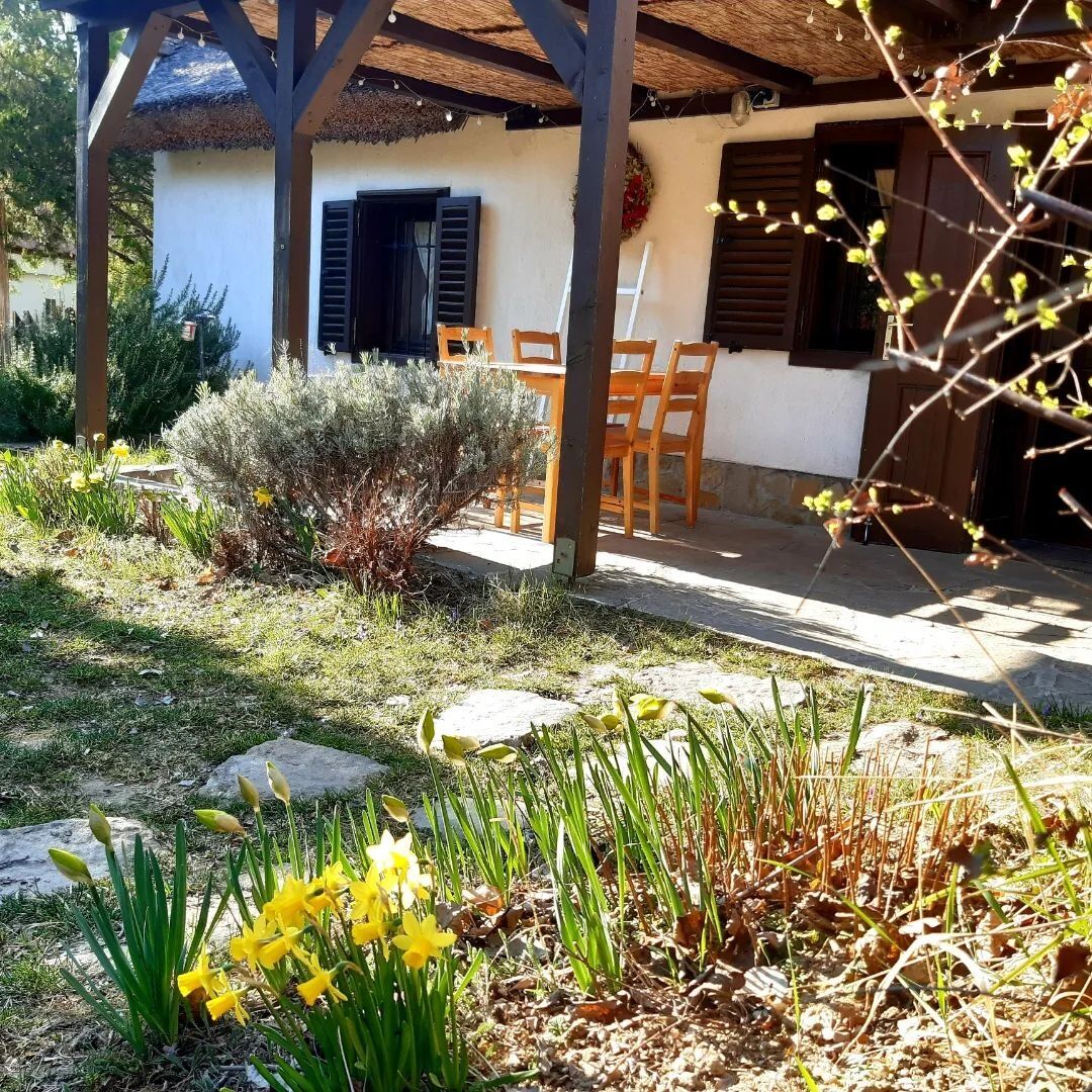 Wild Boar Cottage – Badacsonyörs fotó 19