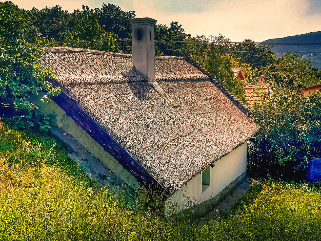Wild Boar Cottage – Badacsonyörs fotó 3