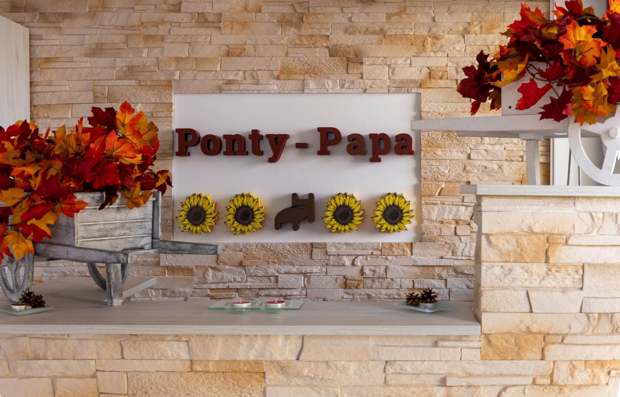 Ponty-Papa Rendezvényház – Dávod fotó 17