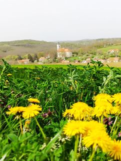 Csipke Vendégház19