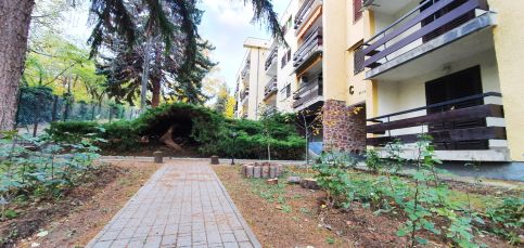 Bori Lak Apartman3