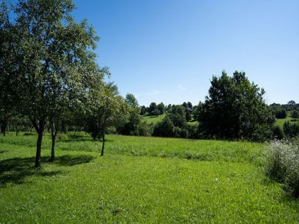 Őrségi Vendégház – Ispánk fotó 18
