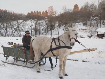 Réti Tanya Vendégház47