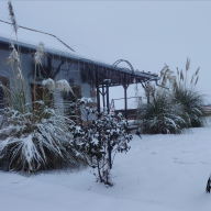 Puszta Gyöngye Vendégház