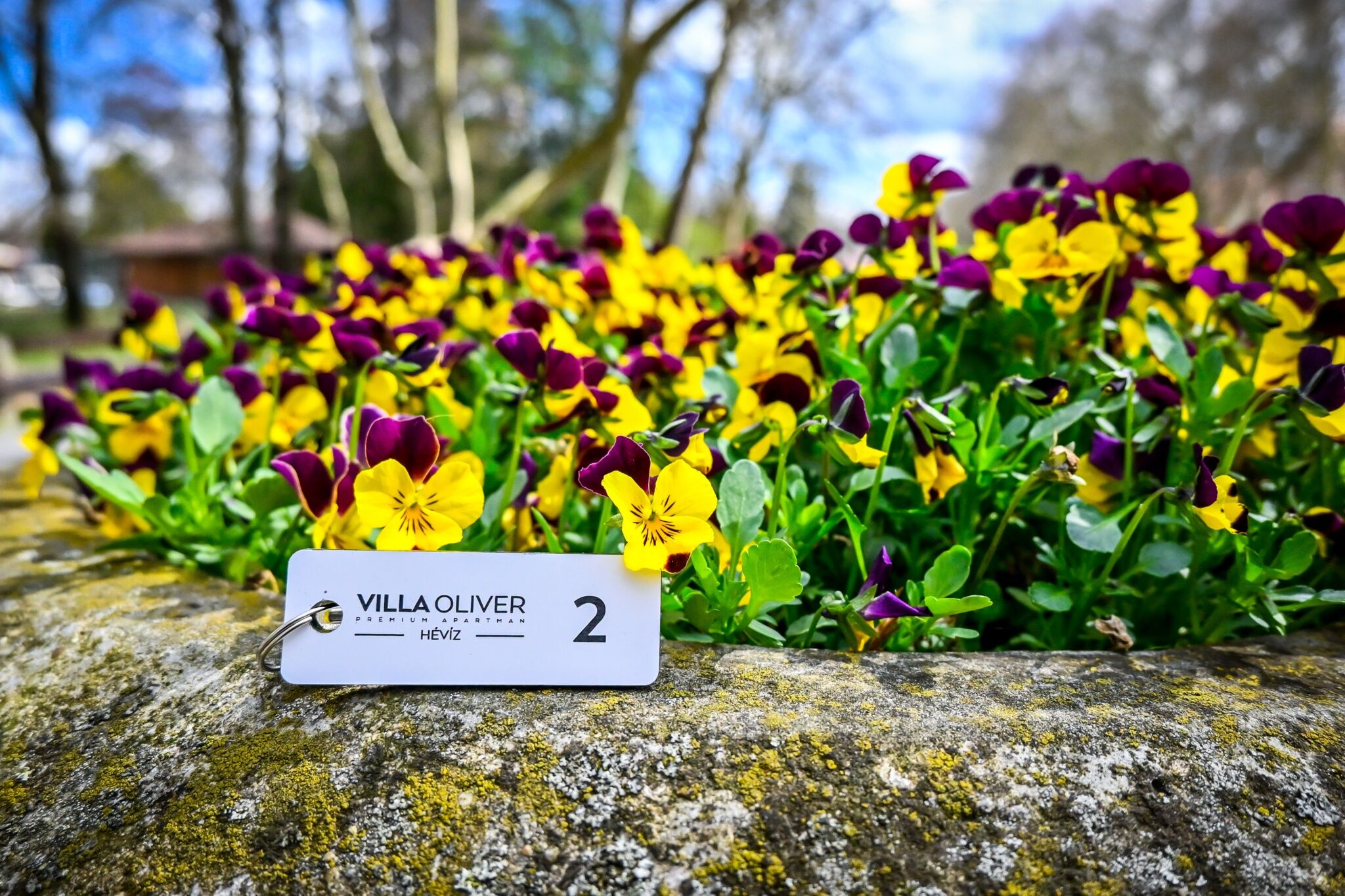 Villa Oliver 1 – Hévíz fotó 1