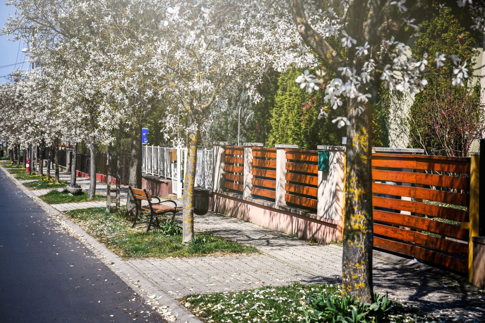 Villa Oliver 1 – Hévíz fotó 2