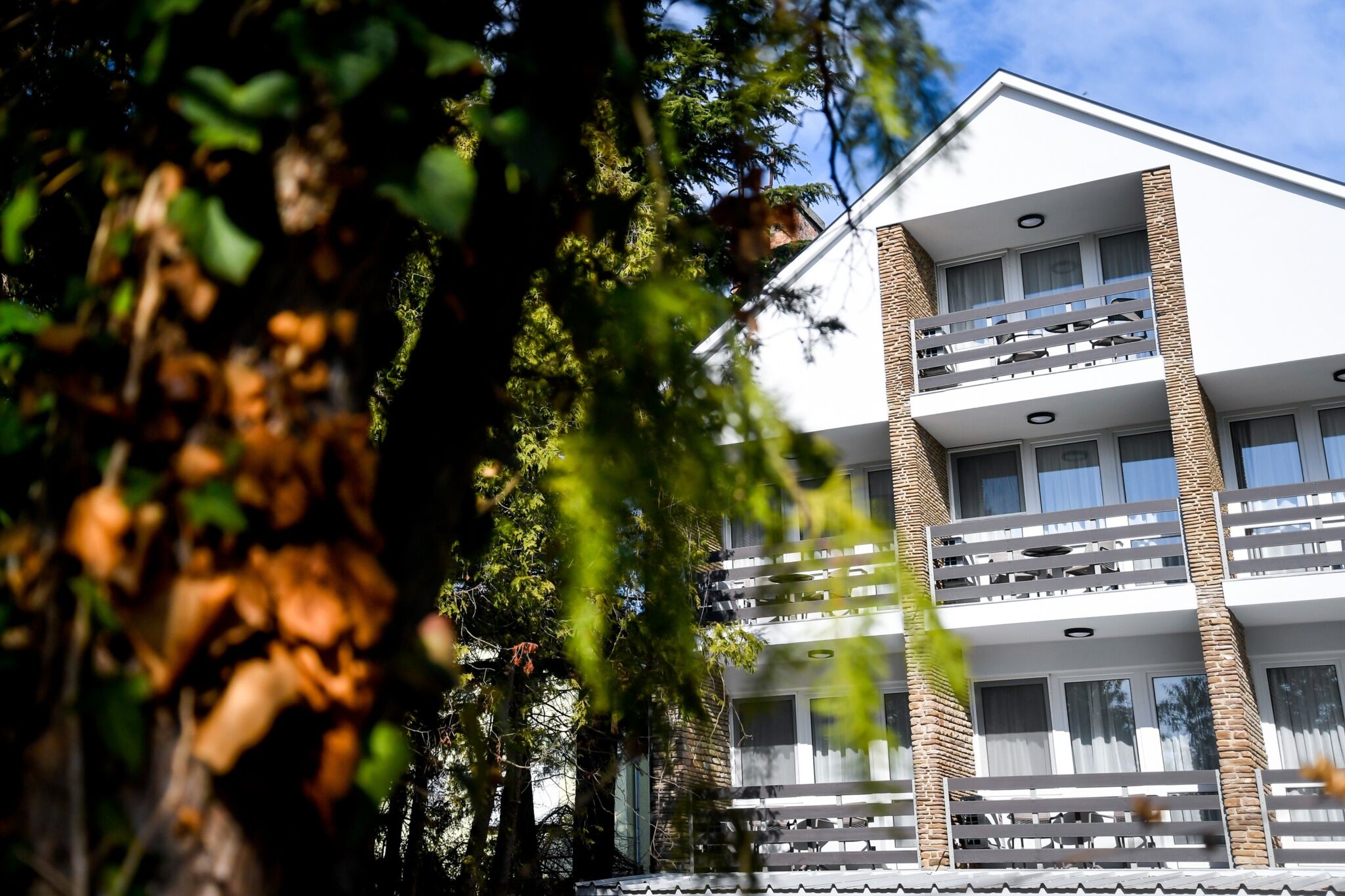 Villa Oliver 1 – Hévíz fotó 3