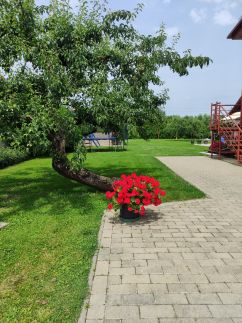 Orgona Vendégház30