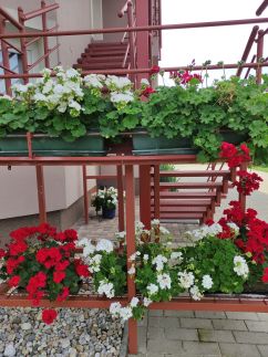 Orgona Vendégház24