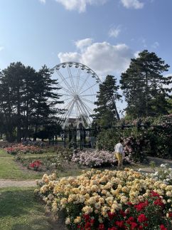 Fenyő Apartman8