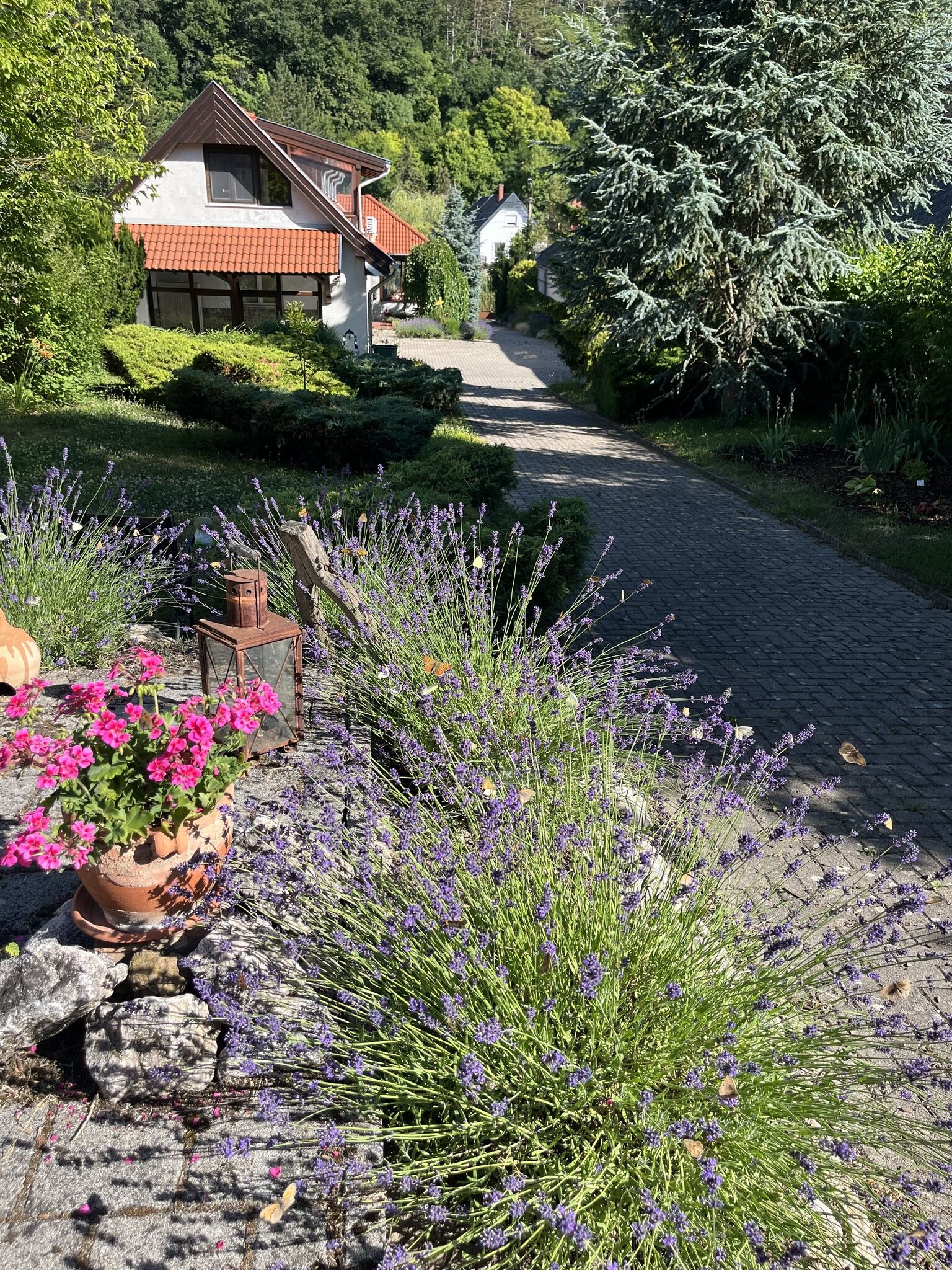 Rozmaring Vendégház – Gánt