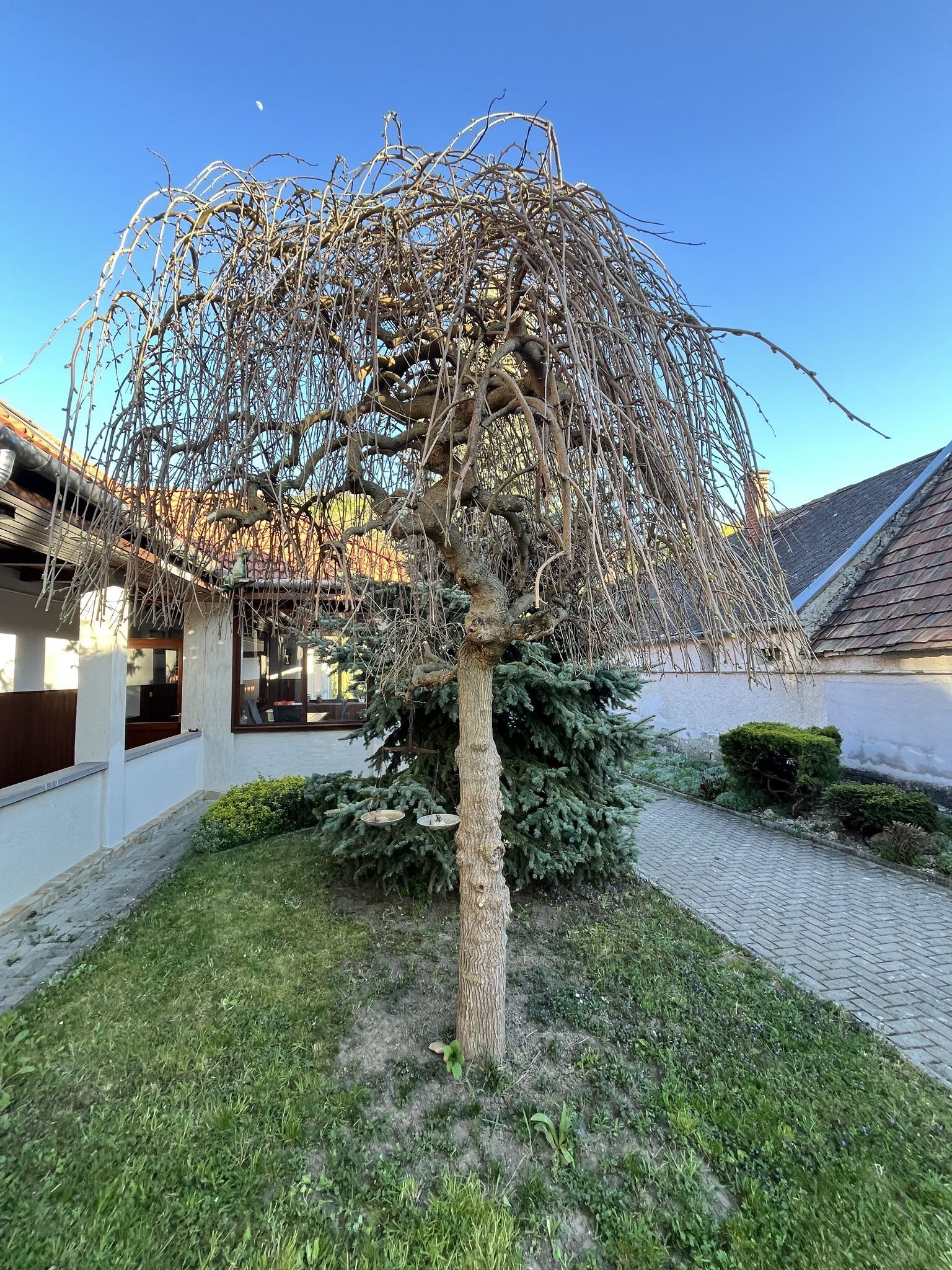 Rozmaring Vendégház – Gánt fotó 12