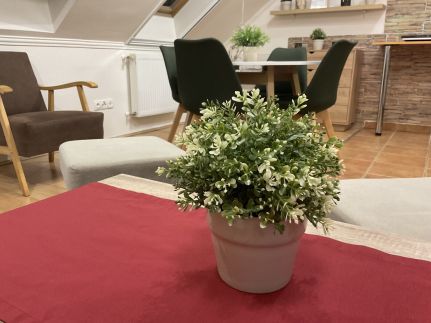 Sport Apartman14