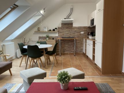 Sport Apartman18
