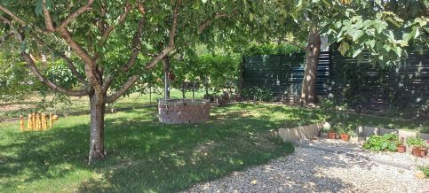 Szabolcs Apartman13