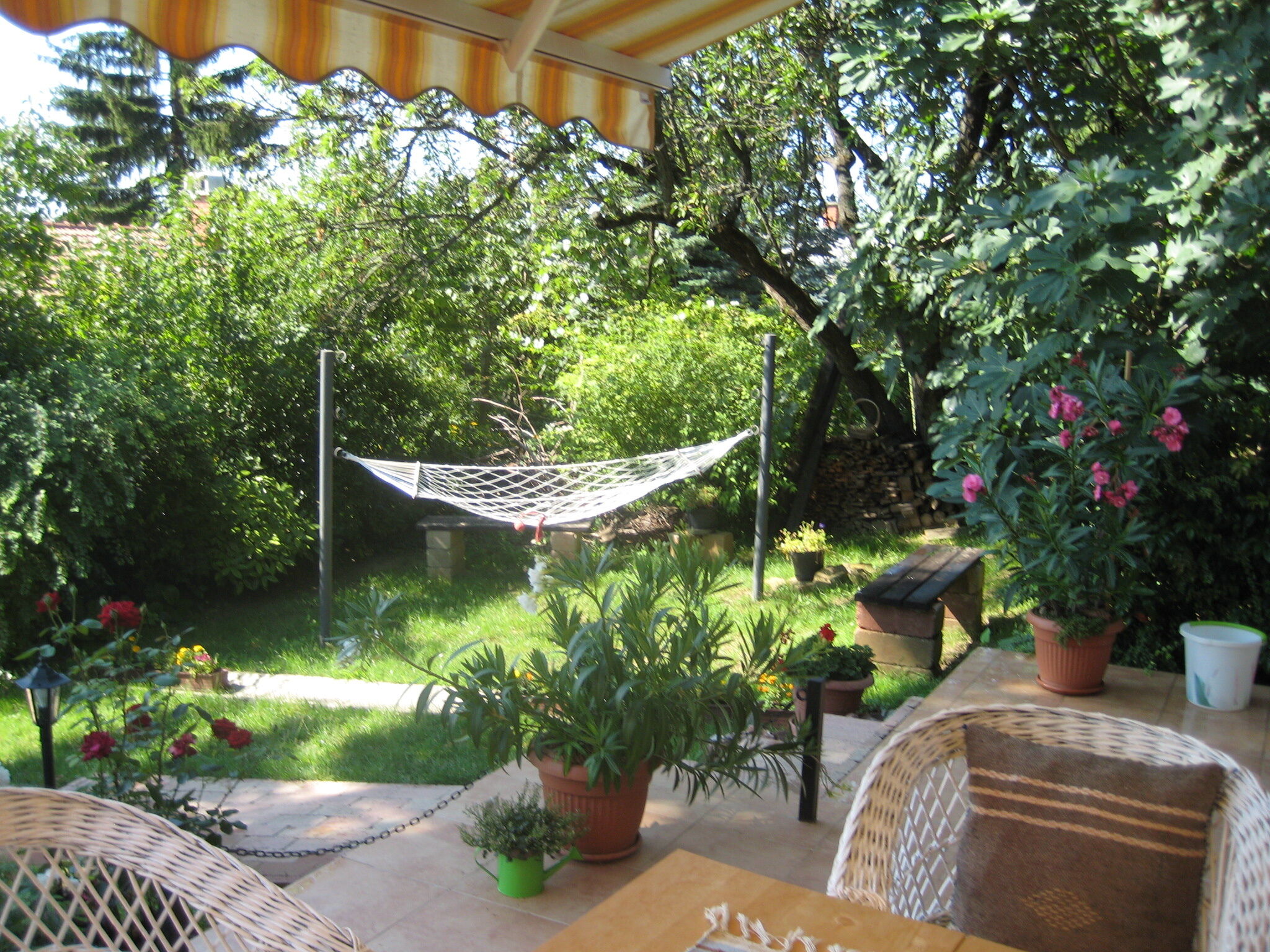 Nosztalgia Apartman – Balatonalmádi fotó 4