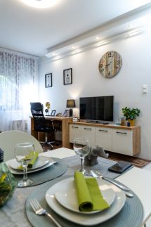 Wanderer Station Apartman12