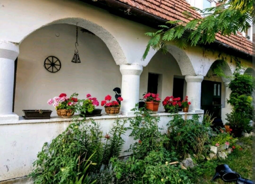 Vilmos Ház – Óbudavár