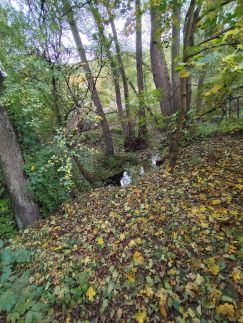 Kispatak Erdei Ház68