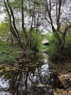 Kispatak Erdei Ház69