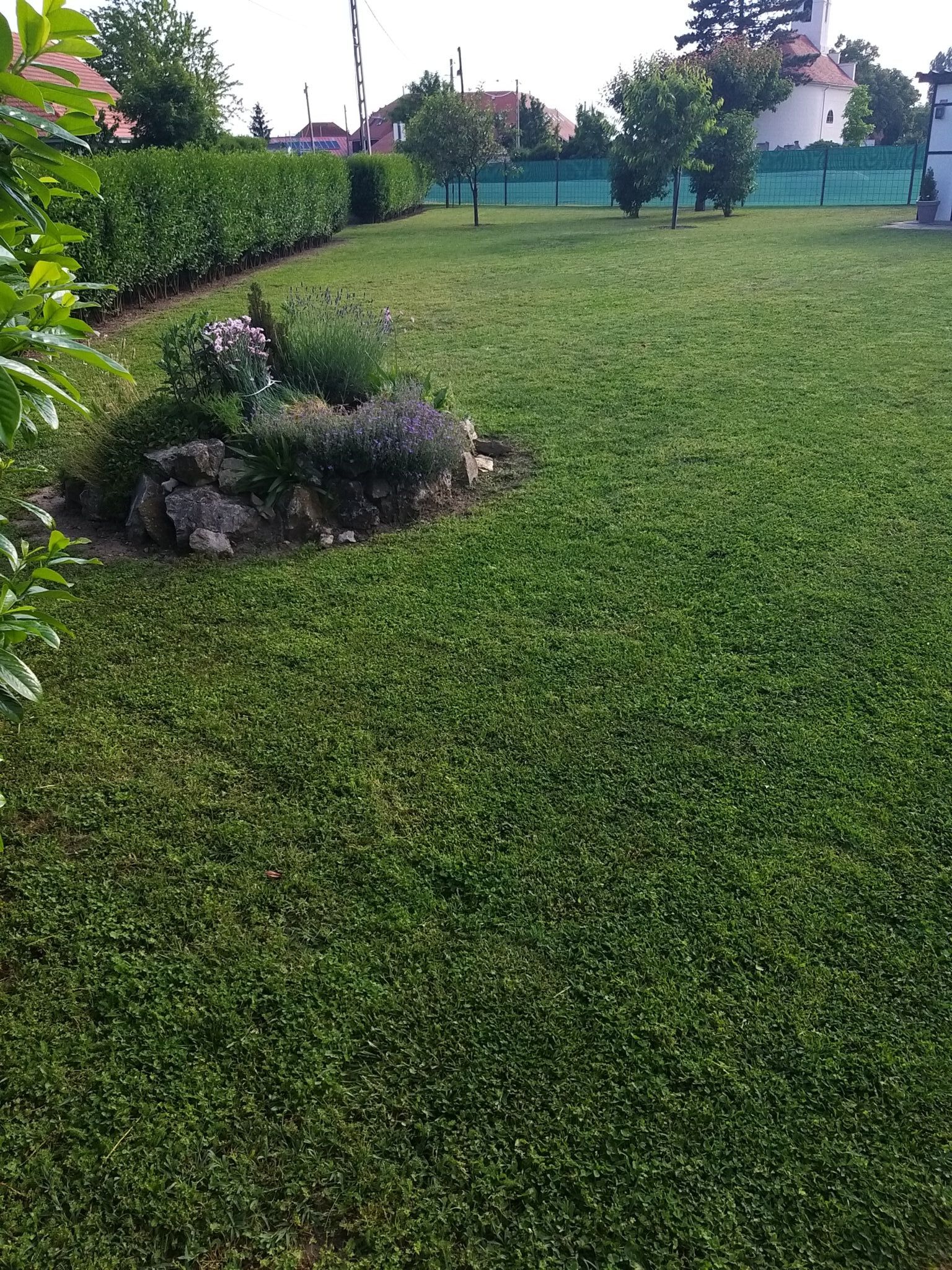 Ellie Apartman – Gyenesdiás fotó 2