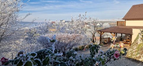 Mosoly Borvendégház38