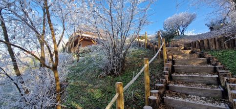 Mosoly Borvendégház46